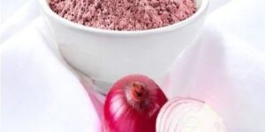 Onion Extract Powder