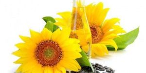 Sunflower Essential Oil