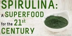 Organic Spirulina Powder