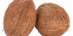 Whole Brown Coconut
