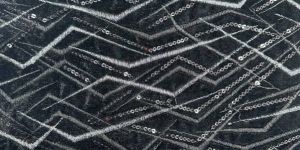 Dn-919 38 Inch Velvet Embroidery Fabric