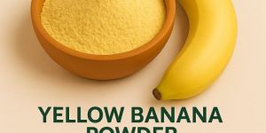 Spray Dried Banana Powder