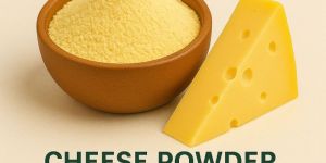 Spray Dried Cheese Powder
