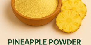 Spray Dried Pineapple Powder