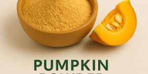 Spray Dried Pumpkin Powder