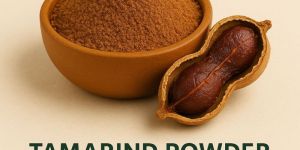 Spray Dried Tamarind Powder