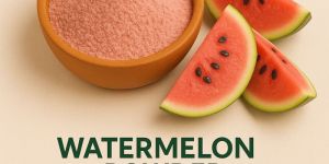 Spray Dried Watermelon Powder