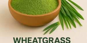 Wheat Grass Powder