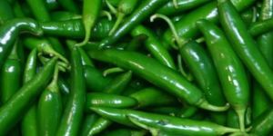 Green Chilli