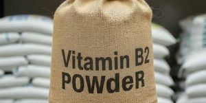 25 Kg Vitamin B2 Powder