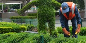 Gardening Services