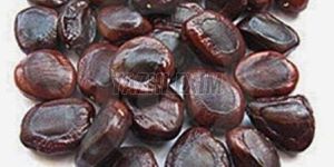 Tamarind Seeds