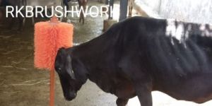 Pet Grooming Brushes