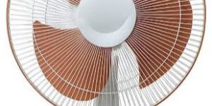 Curve Table Fan