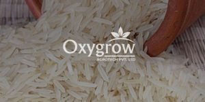 PR11 Non Basmati Rice