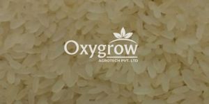 Swarna Non Basmati Rice