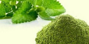 Dehydrated Mint Leaves Powder