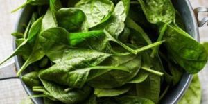 Frozen Spinach Crushed