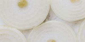 Frozen White Onion Slices