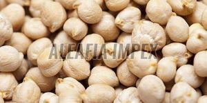 White Chickpeas
