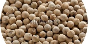 White Pepper Seeds