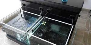 3 Seater Fish Spa Setup