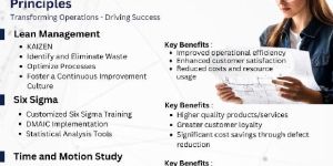 Industrial Consultancy Services