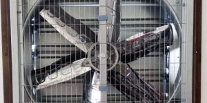 Poultry Ventilation Fan