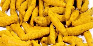 Turmeric Finger