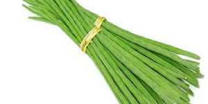 Fresh Green Drumstick