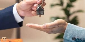 Real Estate Consultant