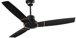 Ceiling Fans