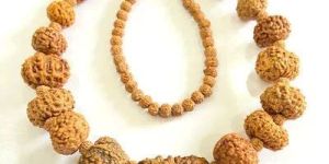 Indonesian 1-14 Mukhi Rudraksha Bracelet