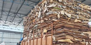 Occ Waste Paper Scraps