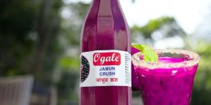 Jamun Crush 500ML