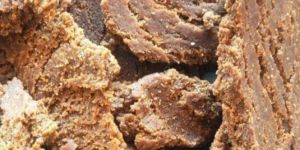 Almond Cold Press Cake