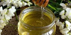 Acacia Honey