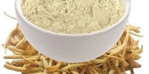 Natural Safed Musli Powder