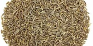 A Grade Brown Cumin Seed