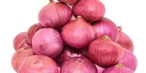 Fresh Pink Onion