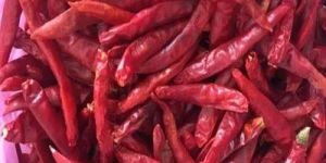Super Deluxe Dried Red Chilli