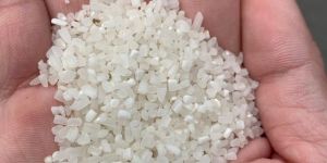 Sortex Raw Broken Rice