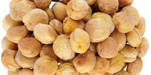Dried Apricot