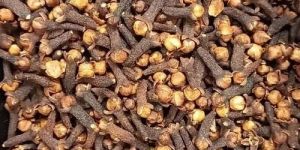 Brown Natural Whole Dry Clove