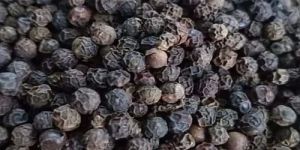 Premium Quality Black Pepper Seeds