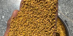Yellow Fenugreek Seeds