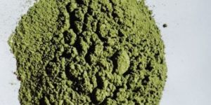 Moringa Powder