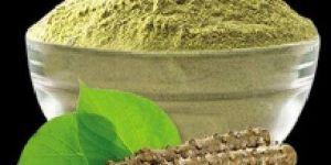 Natural Giloy Powder