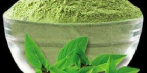 Natural Tulsi Powder