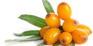 Sea Buckthorn Berry
